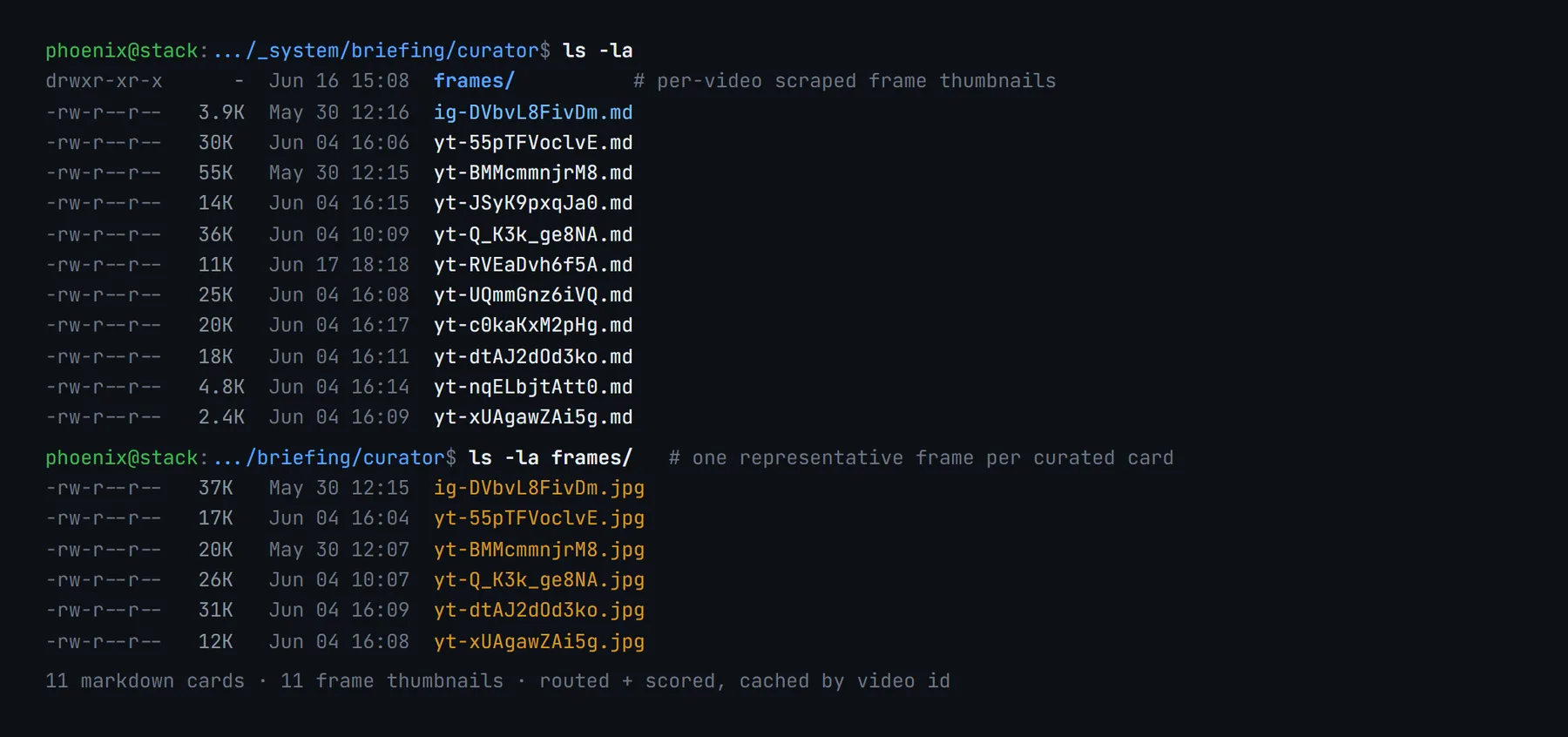 The curator notes directory: eleven markdown cards next to their per-video scraped frame thumbnails, one representative frame per curated card, all cached and scored by video id.